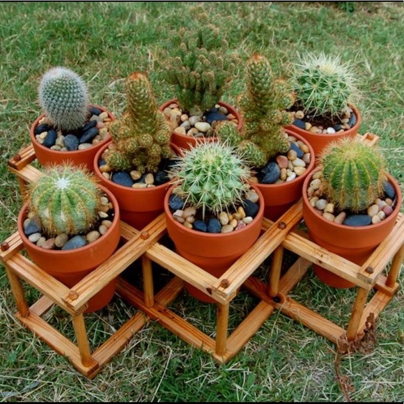 VINTAGE Wood Accordion DECOR, Wine Rack, Brown - Picture 5 of 7